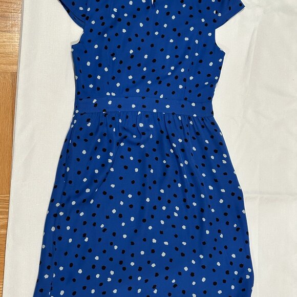 J.Crew Silk Polka Dot Fit & Flare Dress – Blue – Size 6 - Picture 6 of 6